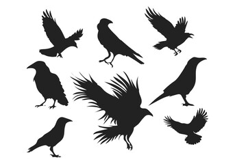 set of silhouettes of crow
