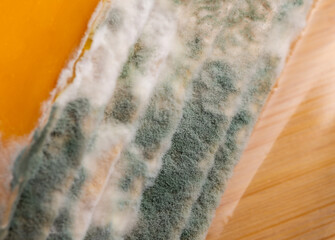 Slices of moldy yellow cheese arranged on a bamboo cutting board. Green mold spores on food....