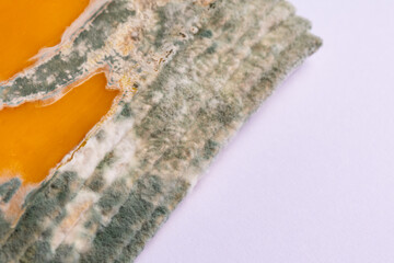 Slices of moldy yellow cheese arranged on a bamboo cutting board. Green mold spores on food. Expired wasted food