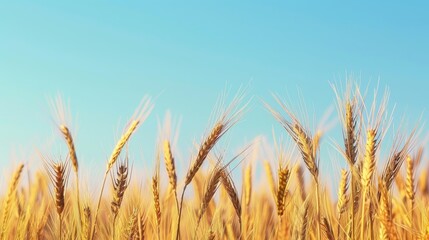 Fototapeta premium Grain Texture Background for Presentation Generative AI