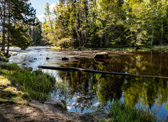 Salomon river landscapein summer. Farnebofjarden national park in north of Sweden