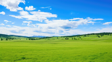 Fototapeta premium Serene Vast Green Pasture under Bright Blue Sky