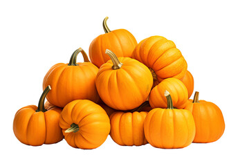 Pile of harvest pumpkins with PNG transparent background for fall and halloween designs