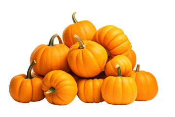 Pile of harvest pumpkins with PNG transparent background for fall and halloween designs
