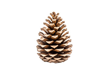 High-quality pinecone metallic PNG with transparent background for digital art, graphic design, and seasonal decoration projects