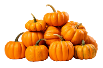 Pile of harvest pumpkins with PNG transparent background for fall and halloween designs