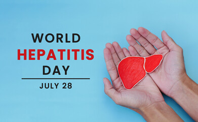 World Hepatitis Day on July 28. Man's hand holding paper heart symbol on light blue background....