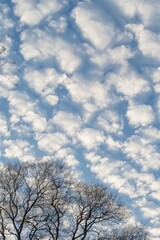 Altocumulus clouds arranged in a patchwork pattern, their rippled edges catching the sunlight and creating a mesmerizing display, Generative AI 
