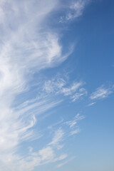 Sky background with clouds. White clouds against a blue sky.