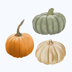 Cute Watercolor Fall Clipart - Download Cozy Autumn Illustration