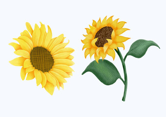 Cute Watercolor Fall Clipart - Download Cozy Autumn Illustration