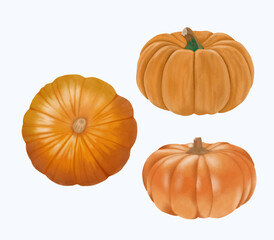 Cute Watercolor Fall Clipart - Download Cozy Autumn Illustration