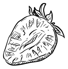 strawberry handdrawn illustration