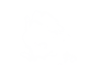 Cloud Isolated,Abstract Sky with Fluffy White Cloudy,Nature illustration elements for Spring,Summer.Group of Smoke or  steam, Cloud bubble,Cloud Comping Shape,Element for pollution background concept