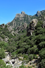 Caroux - gorges d'Héric