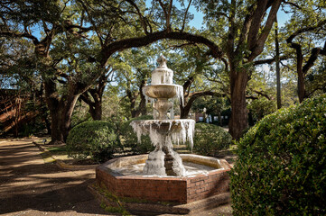 Frozen fountain in a park with large trees and surrounding shrubs