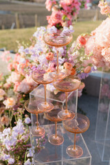 Colorful coupe glass champagne tower
