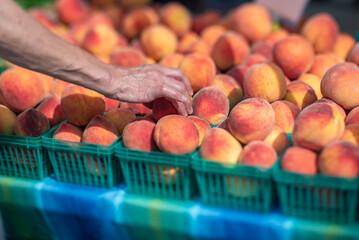 A Woman's reaching for fresh peaches at a farmers' market.