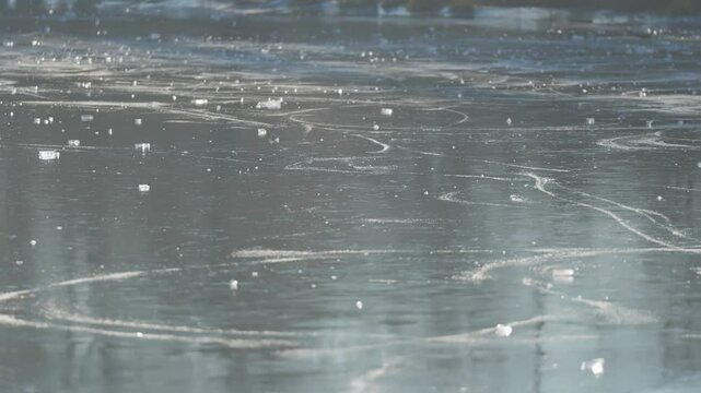 A sunlit frozen pond displays tracks from ice skaters, bordered by leafless trees and banks of withered grass.