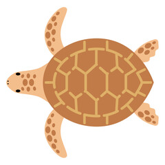 ウミガメのイラスト