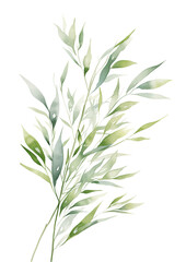 Fototapeta premium watercolor Leaves and floral elements for card design, banners, background Transparent