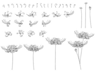 彼岸花のセット_黒線画