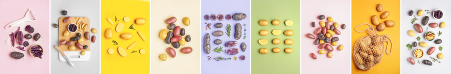 Collage of different sorts of potatoes on color background, top view