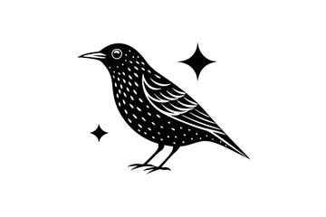 Beautiful European Starling bird lineocut vector art illustration