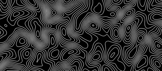 Abstract wave paper curved reliefs background .gradient multicolor wave curve lines banner background design .topographic contours map background .Vector geographic contour map.