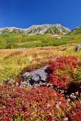 紅葉の立山・天狗平