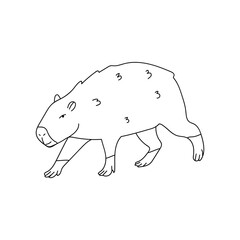 Capybara Line Drawing