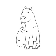 Capybara Sitting Down, Line Drawing
