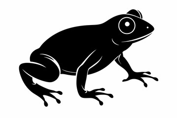 Frog silhouette, toad vector icon, isolated black silhouette of a frog


