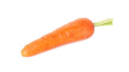 One fresh ripe carrot isolated on white, top view