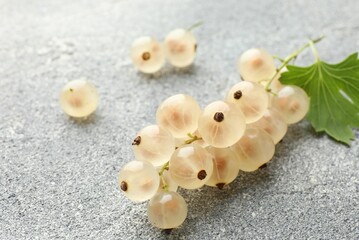 Fresh white currant berries and green leaf on gray textured table, closeup