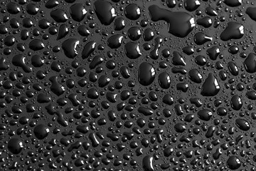Water drops on a black background. Texture