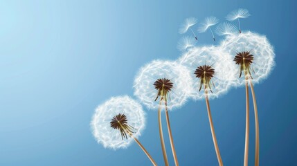 Serene image of puffy dandelions floating against a sunny blue sky.