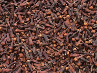 The texture of dried cloves