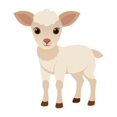 Illustration of little lamb animal on white