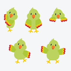 Parrot cartoon - collection