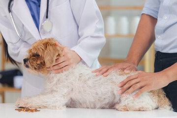 dog, hospital, pet, clinic, doctor, exam, examining, horizontal, indoor, medicine, nurse, photography, procedure, professional, specialist, veterinary, dentistry, health care, ill, occupation, operati