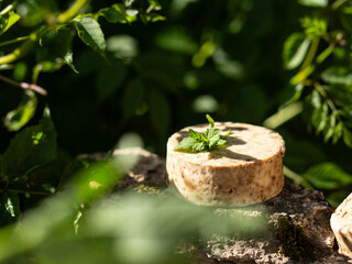 Rustic style handmade mint soap. Sky summer time. Soap bars. Spa, skin care.