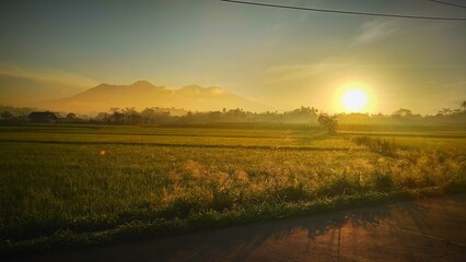 sunrise over the fields