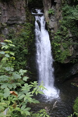 waterfall in the forest