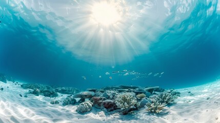 Deep blue ocean waters, teeming with diverse marine life, vibrant corals and schools of fish, showcasing the beauty of underwater ecosystems