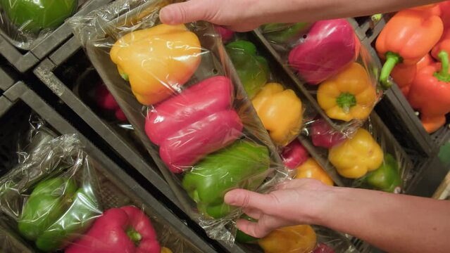 Fresh colorful bell peppers in packaging on counter in a supermarket. Woman buyer choosing Bulgarian pepper in package at vegetable display in store.
