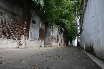 narrow alley landscape