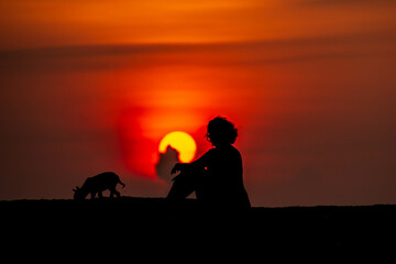 Fototapeta premium Woman sitting with dog at beach, evening, sunset