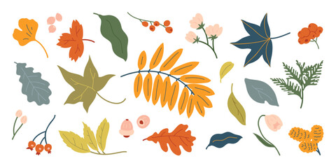 Collection of autumn element vector. Set of flowers, oak, maple leaf, leaves branch, berry, pine leaves, ginkgo, walnut. Hand drawn of autumn foliage design for decorative, print, graphic, card.