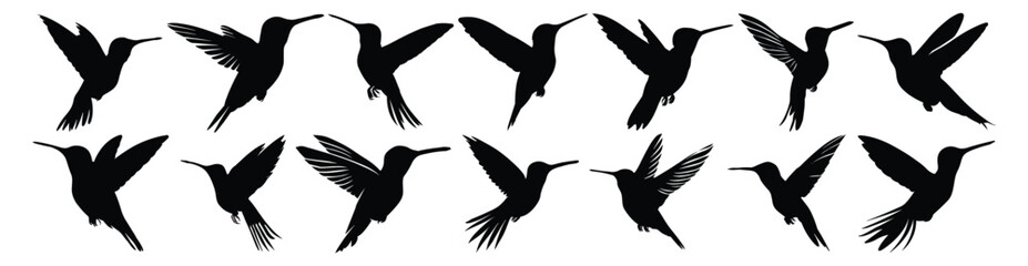 Hummingbird silhouette set vector design big pack of illustration and icon